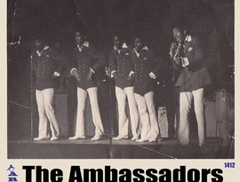 Avatar de The Ambassadors
