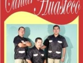 Аватар для Trio Cantar Huasteco