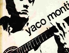 Yaco Monti 的头像