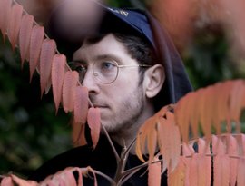 Of the Trees 的头像