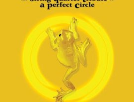 Avatar for The String Quartet Tribute To A Perfect Circle