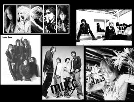 Avatar for X-Japan feat. Luna Sea feat. D'espairsRay feat. MUCC feat. T.M Revolution