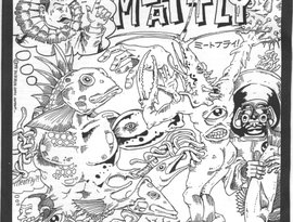 Meatfly 的头像