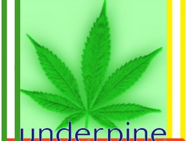 Avatar for Underpine