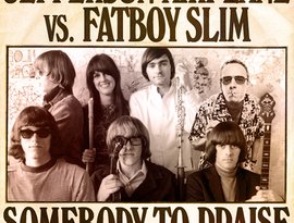 Fatboy Slim vs. Jefferson Airplane のアバター