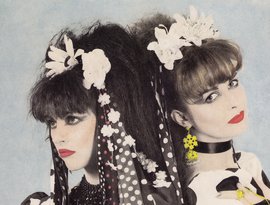 Awatar dla Strawberry Switchblade