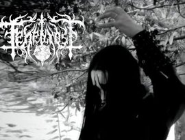 tenebroso 的头像