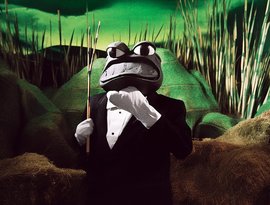 Frog Concert 的头像