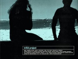Trifid Project 的头像