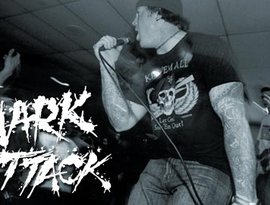 Shark Attack 的头像