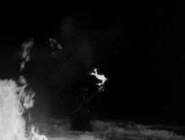Avatar for Akitsa