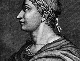 Ovid 的头像