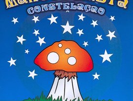 Avatar for Marcos Rasta