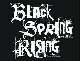 Avatar for Black Spring Rising