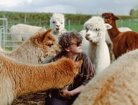 Bill Ryder-Jones 的头像