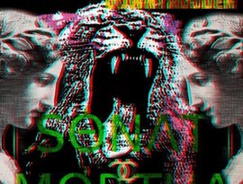 Аватар для SΘNɅT MΘRTUɅ