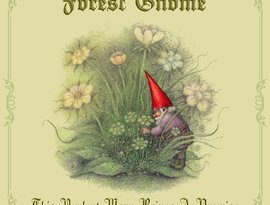 Avatar for Forest Gnome