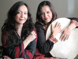 Avatar for Mahsa & Marjan Vahdat