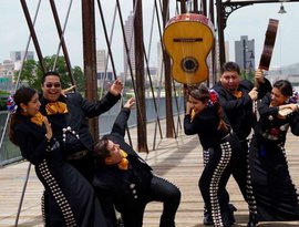 Avatar de Mariachi Entertainment System