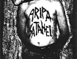 Avatar for Aripa Satanei