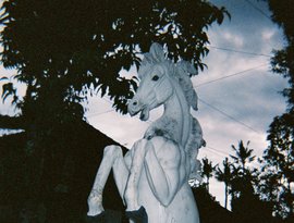 De Mond 的头像