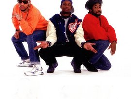 Awatar dla Jungle Brothers