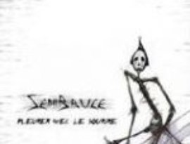SemiBruce 的头像