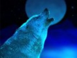 Avatar for Bluewolf
