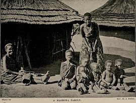 Awatar dla ZIMBABWE The African Mbira: Music of the Shona People