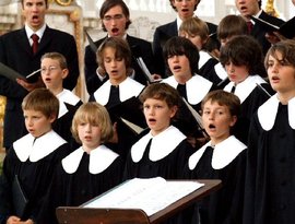 Stuttgarter Hymnus-Chorknaben 的头像