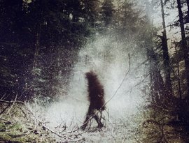 Аватар для Wolves in the Throne Room
