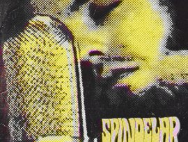 Avatar für Spindelar