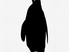 Awatar dla The Black Penguins