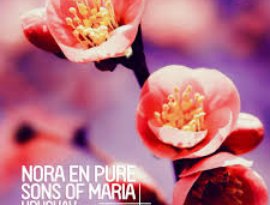 Nora En Pure & Sons Of Maria için avatar