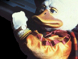 Thunderducks 的头像