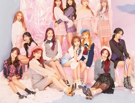WJSN 的头像