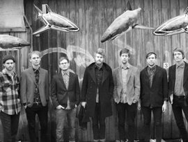 Avatar di Megalodon Collective