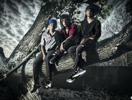 Ninetree 的头像