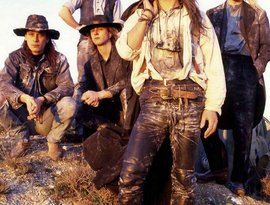 Awatar dla Fields of the Nephilim