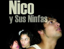 Avatar for Nico y Sus Ninfas