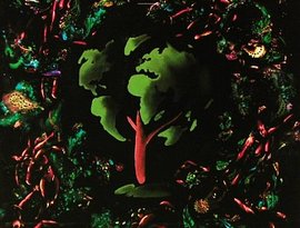 One World - One Voice 的头像