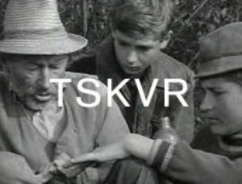 Tüskevár 的头像