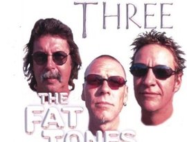 Avatar for Todd Stedman and the Fat Tones