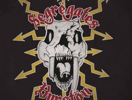 Avatar for Segrëgates