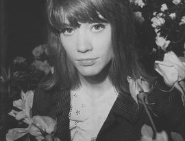 Avatar for Françoise Hardy