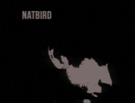 Avatar for Natbird