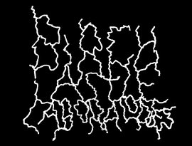 Avatar di Birch Castle Laboratories