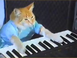 Avatar for Charlie Schmidt's Keyboard Cat!