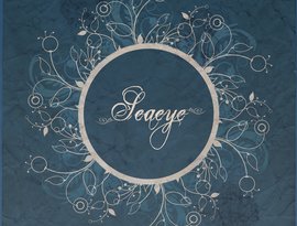 Avatar for Seaeye