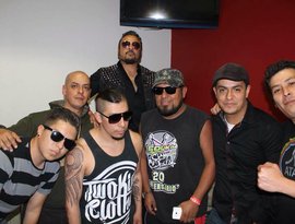 Аватар для Royal Club